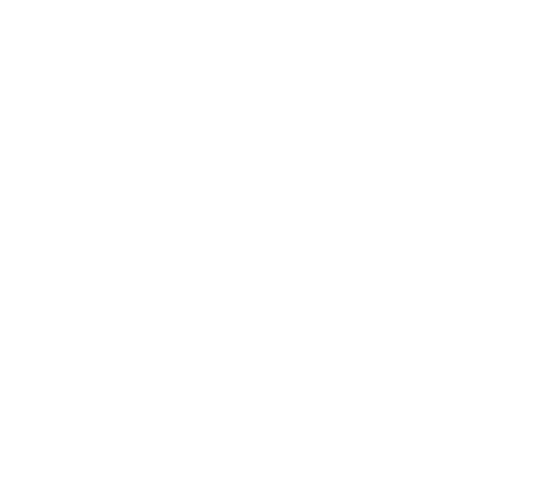 logo-bianco-nebula-software-neurally